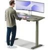Elektrinis reguliuojamo aukščio stalas Desktronic HomeOne Žalias/Žalias, 140x70cm, Dvigubas motoras, USB ir USB-C įkrovimo lizdai