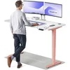 Elektrinis reguliuojamo aukščio stalas Desktronic HomePro Rožinis/Baltas, 160x80cm, Dvigubas motoras, USB ir USB-C įkrovimo lizdai