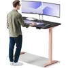 Elektrinis reguliuojamo aukščio stalas Desktronic HomeOne Rožinis/Juodas, 140x70cm, Dvigubas motoras, USB ir USB-C įkrovimo lizdai