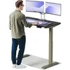 Elektrinis reguliuojamo aukščio stalas Desktronic HomeOne Žalias/Juodas, 120x60cm, Dvigubas motoras, USB ir USB-C įkrovimo lizdai