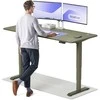 Elektrinis reguliuojamo aukščio stalas Desktronic HomePro Žalias/Žalias, 180x80cm, Dvigubas motoras, USB ir USB-C įkrovimo lizdai