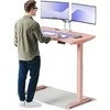Elektrinis reguliuojamo aukščio stalas Desktronic HomeOne Rožinis/Rožinis, 120x60cm, Dvigubas motoras, USB ir USB-C įkrovimo lizdai