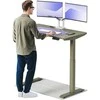 Elektrinis reguliuojamo aukščio stalas Desktronic HomeOne Žalias/Žalias, 120x60cm, Dvigubas motoras, USB ir USB-C įkrovimo lizdai