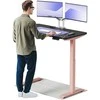 Elektrinis reguliuojamo aukščio stalas Desktronic HomeOne Rožinis/Juodas, 120x60cm, Dvigubas motoras, USB ir USB-C įkrovimo lizdai