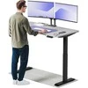 Elektrinis reguliuojamo aukščio stalas Desktronic HomeOne Juodas/Pilkas, 140x70cm, Dvigubas motoras, USB ir USB-C įkrovimo lizdai