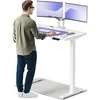 Elektrinis reguliuojamo aukščio stalas Desktronic HomeOne Baltas/Baltas, 120x60cm, Dvigubas motoras, USB ir USB-C įkrovimo lizdai