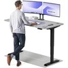 Elektrinis reguliuojamo aukščio stalas Desktronic HomePro Juodas/Pilkas, 160x80cm, Dvigubas motoras, USB ir USB-C įkrovimo lizdai