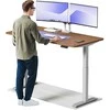 Elektrinis reguliuojamo aukščio stalas Desktronic HomeOne Pilkas/Riešutmedis, 160x80cm, Dvigubas motoras, USB ir USB-C įkrovimo lizdai