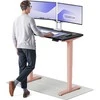 Elektrinis reguliuojamo aukščio stalas Desktronic HomePro Rožinis/Juodas, 120x60cm, Dvigubas motoras, USB ir USB-C įkrovimo lizdai