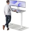 Elektrinis reguliuojamo aukščio stalas Desktronic HomePro Baltas/Pilkas, 120x60cm, Dvigubas motoras, USB ir USB-C įkrovimo lizdai