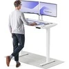 Elektrinis reguliuojamo aukščio stalas Desktronic HomePro Baltas/Baltas, 120x60cm, Dvigubas motoras, USB ir USB-C įkrovimo lizdai