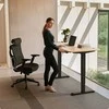 Elektrinis reguliuojamo aukščio stalas Desktronic HomePro Bambukas/Juodas, 160x80cm, Dvigubas motoras, USB ir USB-C įkrovimo lizdai