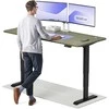 Elektrinis reguliuojamo aukščio stalas Desktronic HomePro Juodas/Žalias, 180x80cm, Dvigubas motoras, USB ir USB-C įkrovimo lizdai