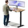 Elektrinis reguliuojamo aukščio stalas Desktronic HomeOne Juodas/Ąžuolas, 140x70cm, Dvigubas motoras, USB ir USB-C įkrovimo lizdai