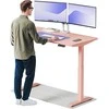 Elektrinis reguliuojamo aukščio stalas Desktronic HomeOne Rožinis/Rožinis, 140x70cm, Dvigubas motoras, USB ir USB-C įkrovimo lizdai