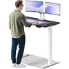 Elektrinis reguliuojamo aukščio stalas Desktronic HomeOne Baltas/Juodas, 120x60cm, Dvigubas motoras, USB ir USB-C įkrovimo lizdai