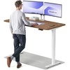 Elektrinis reguliuojamo aukščio stalas Desktronic HomePro Baltas/Riešutmedis, 160x80cm, Dvigubas motoras, USB ir USB-C įkrovimo lizdai