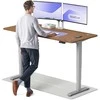 Elektrinis reguliuojamo aukščio stalas Desktronic HomePro Pilkas/Riešutmedis, 180x80cm, Dvigubas motoras, USB ir USB-C įkrovimo lizdai