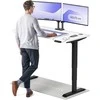 Elektrinis reguliuojamo aukščio stalas Desktronic HomePro Juodas/Baltas, 140x70cm, Dvigubas motoras, USB ir USB-C įkrovimo lizdai