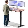 Elektrinis reguliuojamo aukščio stalas Desktronic HomeOne Juodas/Rožinis, 140x70cm, Dvigubas motoras, USB ir USB-C įkrovimo lizdai