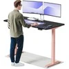 Elektrinis reguliuojamo aukščio stalas Desktronic HomeOne Rožinis/Juodas, 160x80cm, Dvigubas motoras, USB ir USB-C įkrovimo lizdai