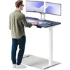 Elektrinis reguliuojamo aukščio stalas Desktronic HomeOne Baltas/Mėlynas, 120x60cm, Dvigubas motoras, USB ir USB-C įkrovimo lizdai