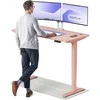 Elektrinis reguliuojamo aukščio stalas Desktronic HomePro Rožinis/Rožinis, 140x70cm, Dvigubas motoras, USB ir USB-C įkrovimo lizdai