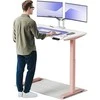 Elektrinis reguliuojamo aukščio stalas Desktronic HomeOne Rožinis/Baltas, 120x60cm, Dvigubas motoras, USB ir USB-C įkrovimo lizdai