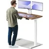 Elektrinis reguliuojamo aukščio stalas Desktronic HomeOne Baltas/Riešutmedis, 120x60cm, Dvigubas motoras, USB ir USB-C įkrovimo lizdai