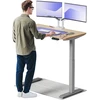 Elektrinis reguliuojamo aukščio stalas Desktronic HomeOne Bambukas/Pilkas, 120x60cm, Dvigubas motoras, USB ir USB-C įkrovimo lizdai