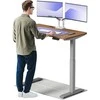 Elektrinis reguliuojamo aukščio stalas Desktronic HomeOne Pilkas/Riešutmedis, 120x60cm, Dvigubas motoras, USB ir USB-C įkrovimo lizdai
