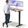 Elektrinis reguliuojamo aukščio stalas Desktronic HomePro Juodas/Rožinis, 120x60cm, Dvigubas motoras, USB ir USB-C įkrovimo lizdai