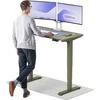 Elektrinis reguliuojamo aukščio stalas Desktronic HomePro Žalias/Žalias, 120x60cm, Dvigubas motoras, USB ir USB-C įkrovimo lizdai