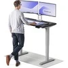 Elektrinis reguliuojamo aukščio stalas Desktronic HomePro Pilkas/Juodas, 120x60cm, Dvigubas motoras, USB ir USB-C įkrovimo lizdai