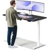 Elektrinis reguliuojamo aukščio stalas Desktronic HomeOne Baltas/Juodas, 160x80cm, Dvigubas motoras, USB ir USB-C įkrovimo lizdai