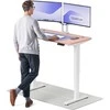 Elektrinis reguliuojamo aukščio stalas Desktronic HomePro Baltas/Rožinis, 120x60cm, Dvigubas motoras, USB ir USB-C įkrovimo lizdai