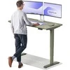 Elektrinis reguliuojamo aukščio stalas Desktronic HomePro Žalias/Žalias, 140x70cm, Dvigubas motoras, USB ir USB-C įkrovimo lizdai