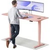 Elektrinis reguliuojamo aukščio stalas Desktronic HomePro Rožinis/Rožinis, 180x80cm, Dvigubas motoras, USB ir USB-C įkrovimo lizdai