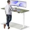 Elektrinis reguliuojamo aukščio stalas Desktronic HomePro Baltas/Žalias, 180x80cm, Dvigubas motoras, USB ir USB-C įkrovimo lizdai