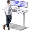 Elektrinis reguliuojamo aukščio stalas Desktronic HomePro Pilkas/Baltas, 160x80cm, Dvigubas motoras, USB ir USB-C įkrovimo lizdai