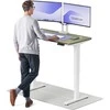 Elektrinis reguliuojamo aukščio stalas Desktronic HomePro Baltas/Žalias, 120x60cm, Dvigubas motoras, USB ir USB-C įkrovimo lizdai