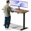 Elektrinis reguliuojamo aukščio stalas Desktronic HomeOne Juodas/Riešutmedis, 160x80cm, Dvigubas motoras, USB ir USB-C įkrovimo lizdai