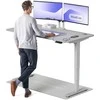 Elektrinis reguliuojamo aukščio stalas Desktronic HomePro Pilkas/Pilkas, 160x80cm, Dvigubas motoras, USB ir USB-C įkrovimo lizdai