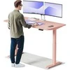 Elektrinis reguliuojamo aukščio stalas Desktronic HomeOne Rožinis/Rožinis, 160x80cm, Dvigubas motoras, USB ir USB-C įkrovimo lizdai