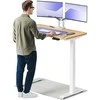 Elektrinis reguliuojamo aukščio stalas Desktronic HomeOne Baltas/Ąžuolas, 120x60cm, Dvigubas motoras, USB ir USB-C įkrovimo lizdai