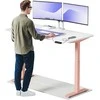 Elektrinis reguliuojamo aukščio stalas Desktronic HomeOne Rožinis/Baltas, 160x80cm, Dvigubas motoras, USB ir USB-C įkrovimo lizdai