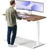 Elektrinis reguliuojamo aukščio stalas Desktronic HomeOne Baltas/Riešutmedis, 160x80cm, Dvigubas motoras, USB ir USB-C įkrovimo lizdai