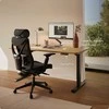 Elektrinis reguliuojamo aukščio stalas Desktronic HomePro Ąžuolo masyvas/Juodas, 160x80cm, Dvigubas motoras, USB ir USB-C įkrovimo lizdai