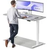 Elektrinis reguliuojamo aukščio stalas Desktronic HomePro Baltas/Pilkas, 160x80cm, Dvigubas motoras, USB ir USB-C įkrovimo lizdai