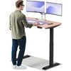Elektrinis reguliuojamo aukščio stalas Desktronic HomeOne Juodas/Rožinis, 120x60cm, Dvigubas motoras, USB ir USB-C įkrovimo lizdai